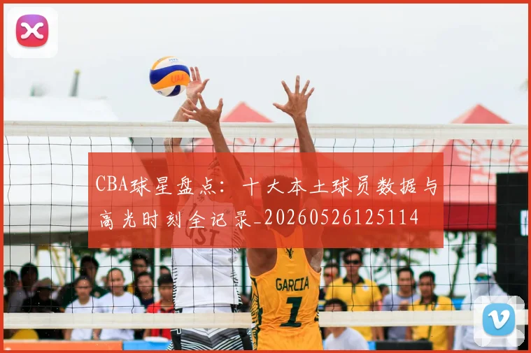 CBA球星盘点：十大本土球员数据与高光时刻全记录_20260526125114